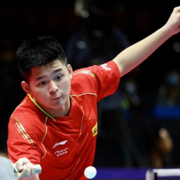 税务申报上 税务申报上