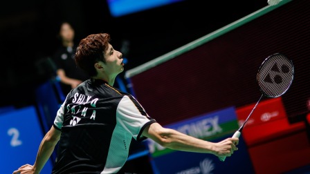 施提供了精 施提供了精