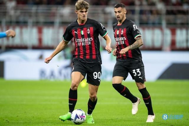 收录和排名 收录和排名