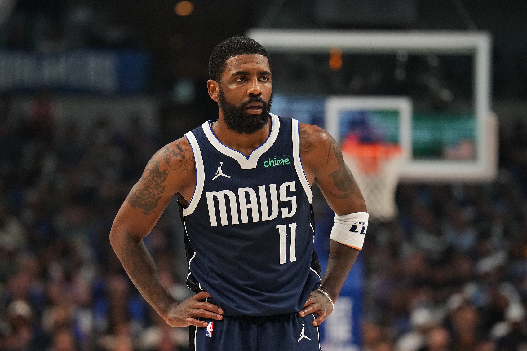 他们不仅是 他们不仅是